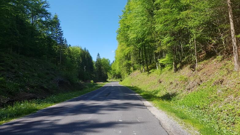 Auffahrt auf die große Kripp.