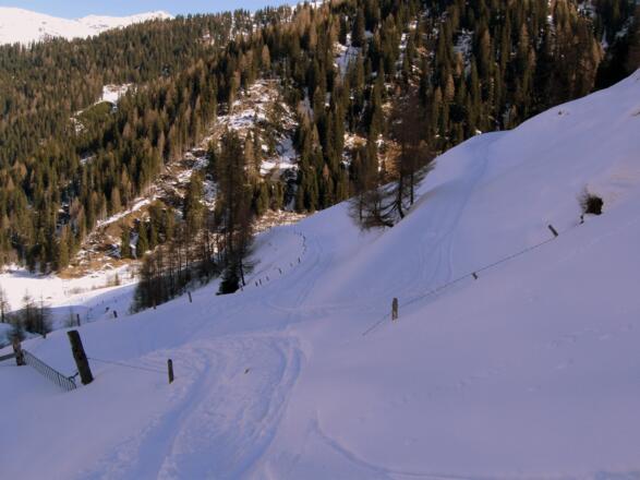 An dieser Stelle trennen sich die Aufstiegsspuren zu Scheibenspitze bzw. zur Hohen Warte.