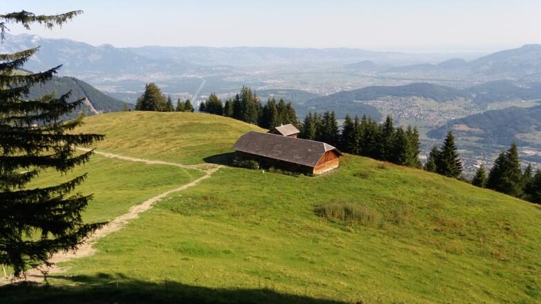 Barzoraalpe: Blick aufs Alpenkreuz und das Rheintal.