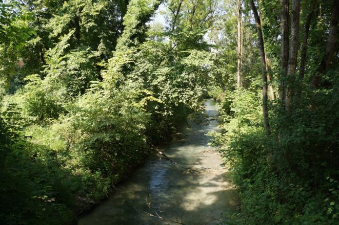 Guggerinsel