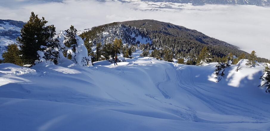 Perfektes Skigelände