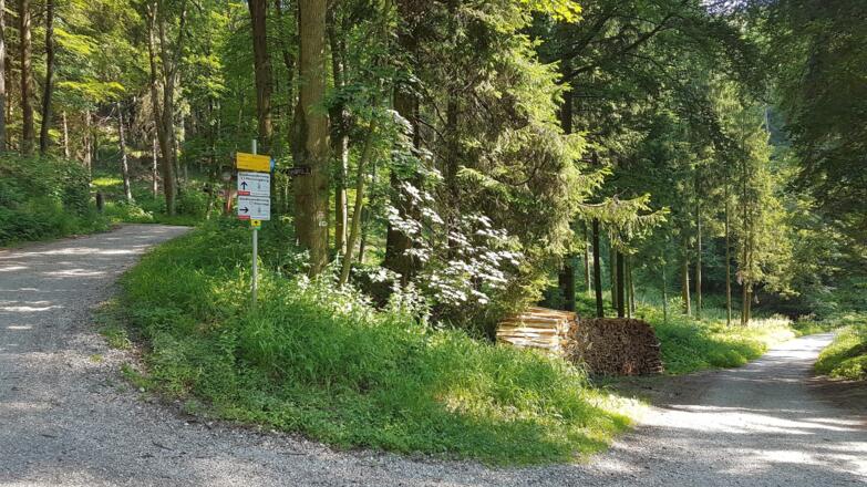 Pfenningbergkreuzung, hier ist die 2. Möglichkeit links rauf den Pfenningberg "mitzunehmen", wir wandern rechts weiter