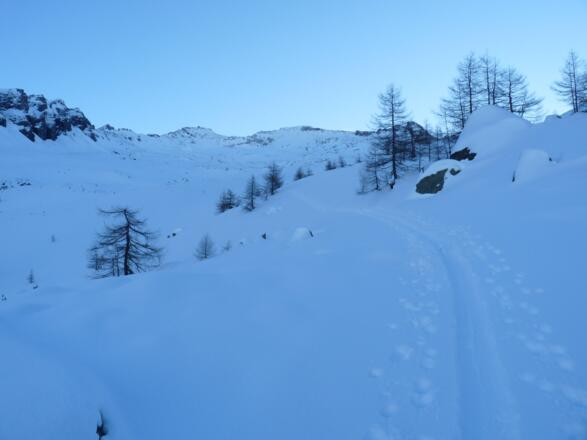 Haben wir die Waldgrenze erreicht, treten wir in das weitläufige und den durchwegs sanften Geländekessel ein.