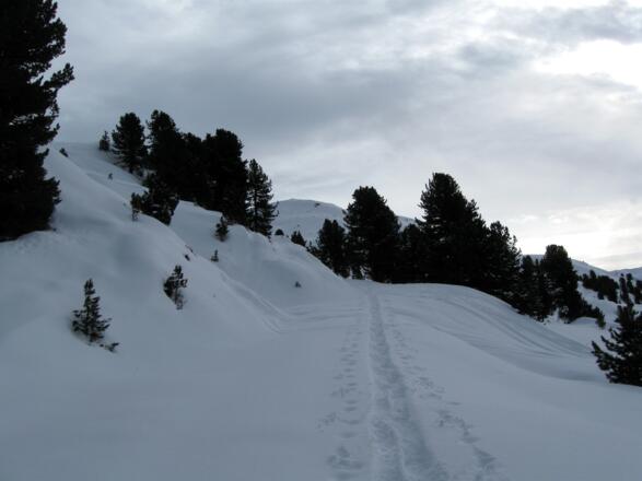 Der Rückweg erfolgt über die Forststraße (soweit erkennbar.)