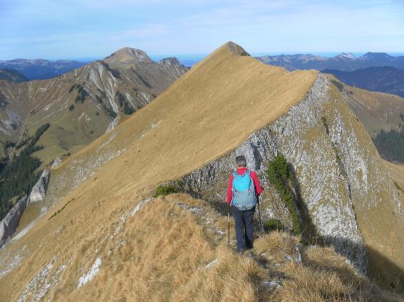 Steilwiesen