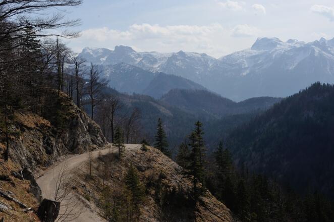 Von der Forststraße oberhalb der Lichteneckalm schauen wir weit in das Tote Gebirge