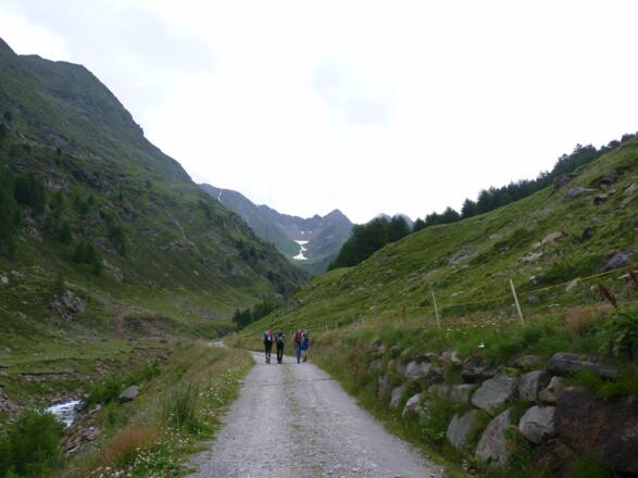Zuerst über die Forststraße