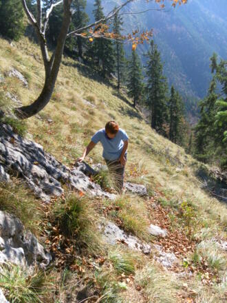 steile Grasflanke am Fuß des Törlspitzes
