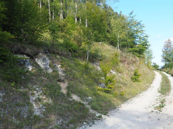 Links, Einstieg Jagdsteig ~710 m