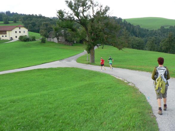 Auf der Straße bis zum &quot;Gassner&quot; in Schweinsegg...