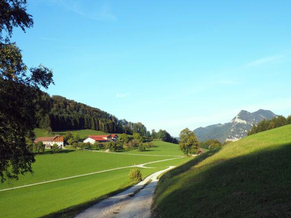 Kurz vor Hambaum um 740m