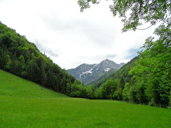 Die Alpen sind zum Greifen nahe.