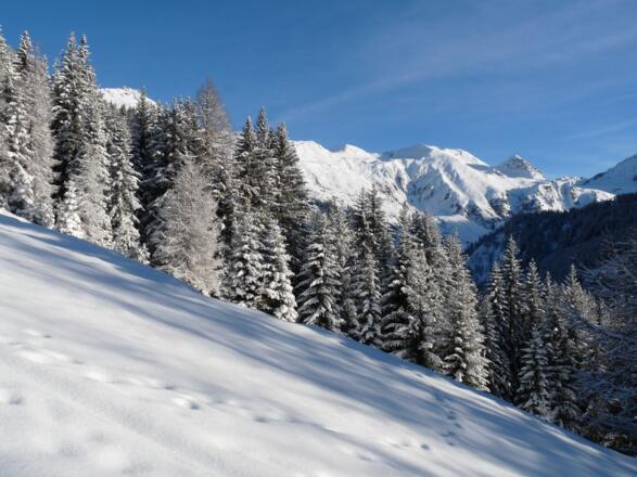 Aussichtsreich führt der Anstieg über die Wiesen hinauf zum Waldrand.