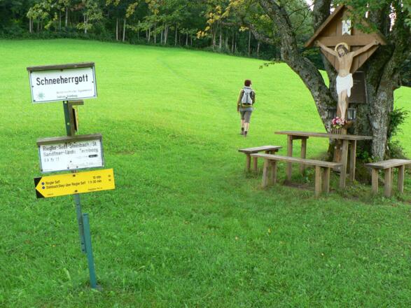 Vom Schneeherrgott links haltend (südlich) über die Wiese ...