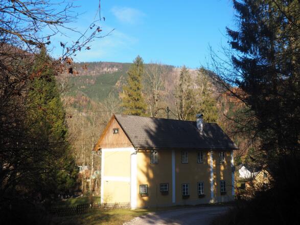 Wieder im Brunnental 555m