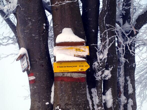 Markierter Weg am Kamm 1040m