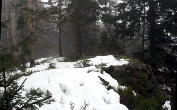 Am Gipfelfelsen Kamenná 938m