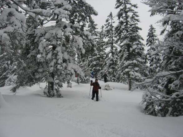Abstieg vom Gipfel über den nordöstlichen Rücken