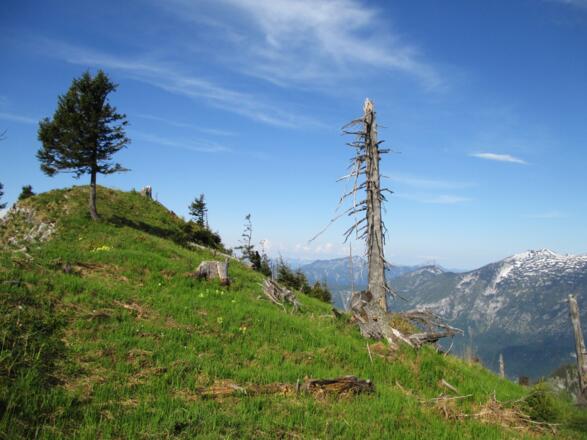 Rückblick zum Hochpunkt 1525 m