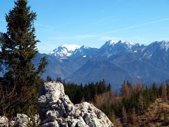 Wieder am Schabenreitner Stein mit Blick zur Hohen Nock