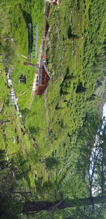 Bei der bewirtschafteten Arztalalm