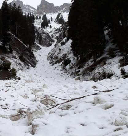 Tobel am Ende des Fahrwegs nach der Bergstation Materialseilbahn