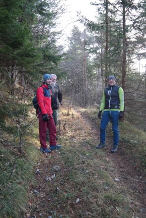 Der Waldweg im untersten Teil des Aufstiegs.