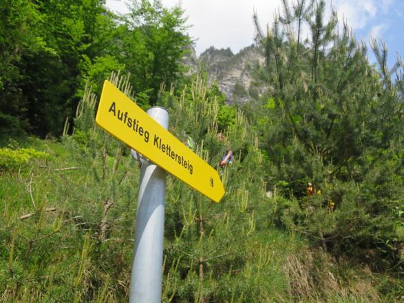 Den Wegweisern folgend steil hinauf