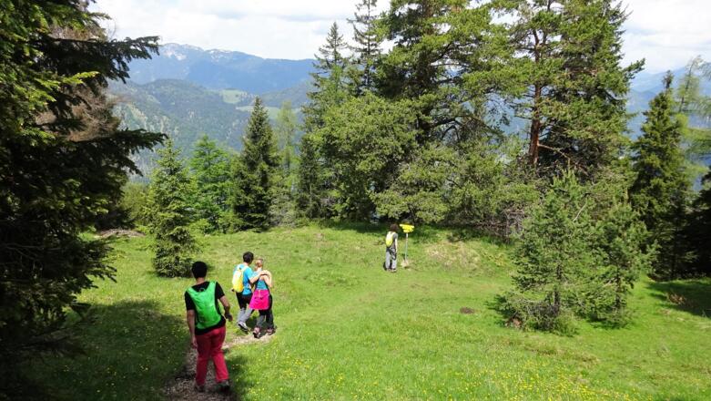 ... links (nördlich) hinunter Richtung "Brandenberg" und zur Heumöseralm. Dann wieder auf die Südseite des Voldppbergs und zurück zum Ausgangspunkt.