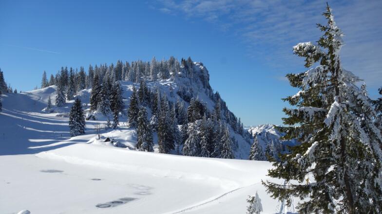 Nordgipfel Spitzplaneck ~1585m Gipfel 2
