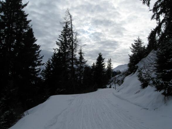 Retour geht es über die Pisten und Schiwege des Schigebietes Inneralpbach