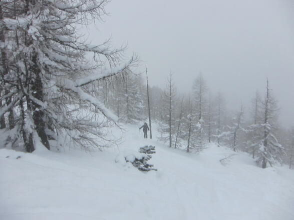 Immer freier wird das Gelände