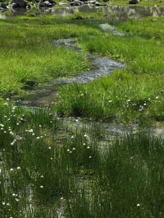 See bei der Winnebachseehütte.