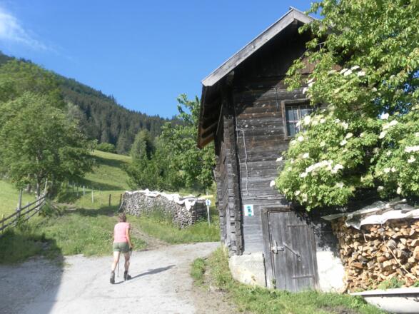 Höhenwart
