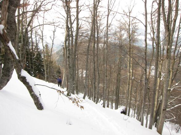 Spitzkehrengelände - es ist steiler als es aussieht