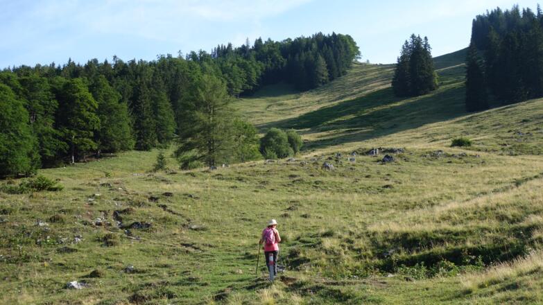 Um 1200m, von der Schaumbergalm links zum Wald