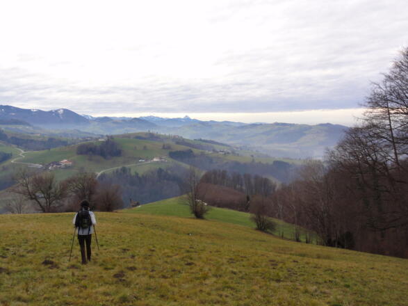 Blick ins Dambachtal
