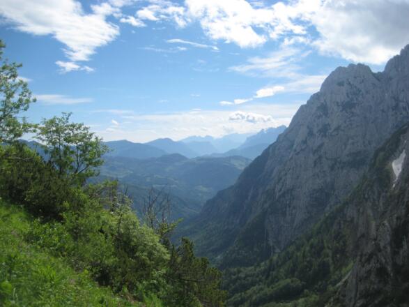 Im Kaiserbachtal (4. Juni 2011)