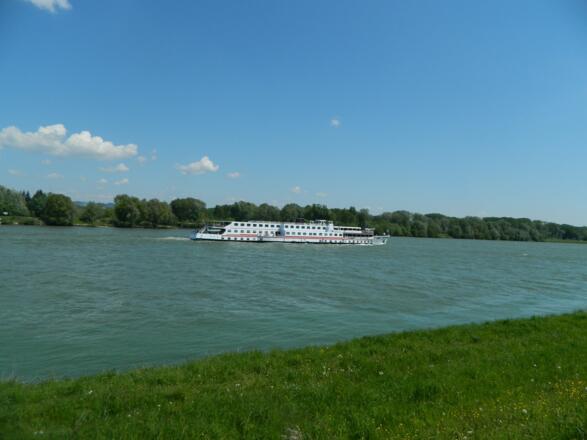 Donauschiff bei der Aist-Mündung
