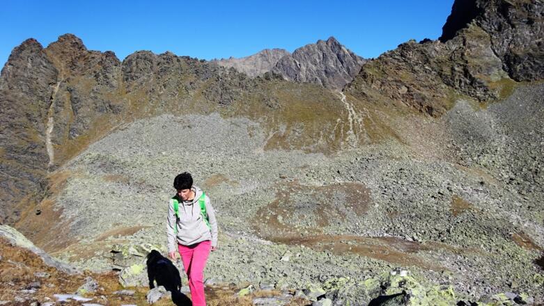 Von der Scharte (hinten) ca. 50 Hm abwärts, rechtshaltend durch die Senke Richtung Gipfel.