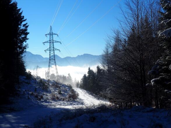 Forststraße 930m bis 970m