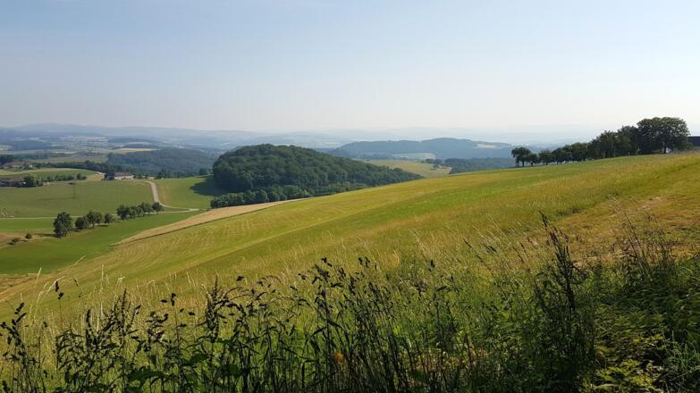 Einen weiten Blick ins Mühlviertel bietet der Aussichtsplatz "Mühlviertelblick"