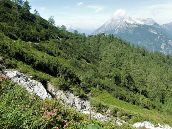 Birnhorn in den Leoganger Steinbergen