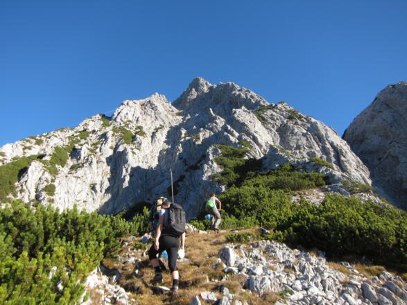 Eine einsame Holzstange markiert das Ende des Latschengürtels und die Abzweigung zum Südgrat (rechts). Der Normalweg führt in die markante Felsrinne. Oben der Gipfel der Wechselspitze.