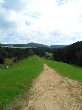 Feldweg nach Königswiesen