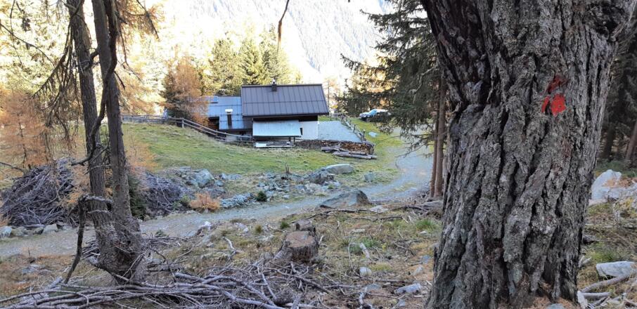 ... Söllberg Alm (1849 m), geöffnet von Anfang Juni bis ca. Mitte September.