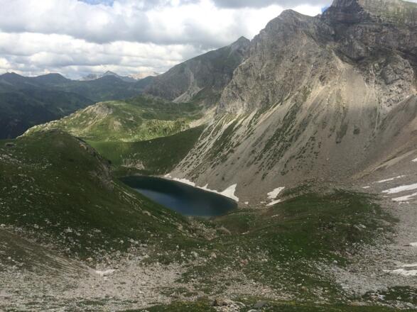 Wildsee