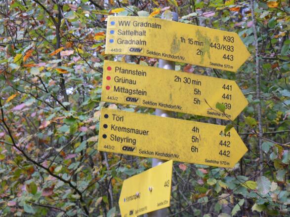 Wir folgen dem Weg Nr. 441 auf den Pfannstein