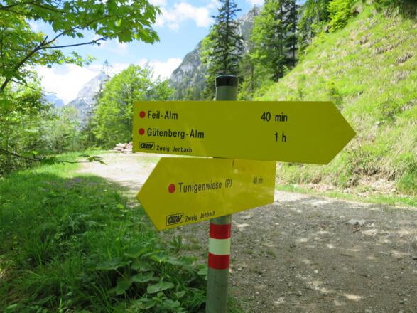 ... und können nun entscheiden: Über die Feilalm auf den Feilkopf (Forststraße) oder ...