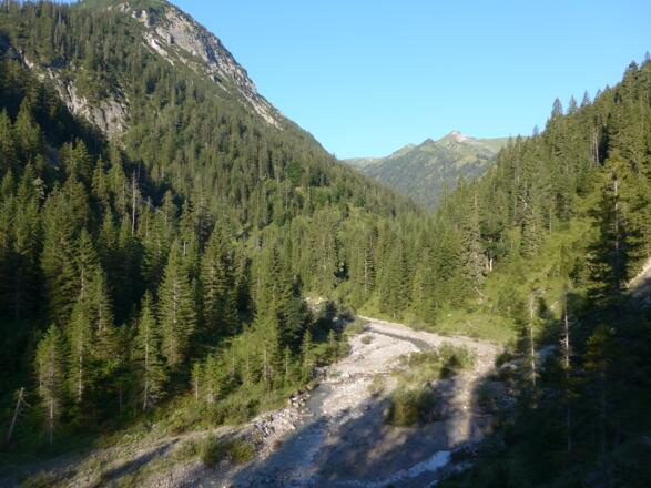 Rastplatz am Weißenbach, im Hintergrund die Schochenspitze